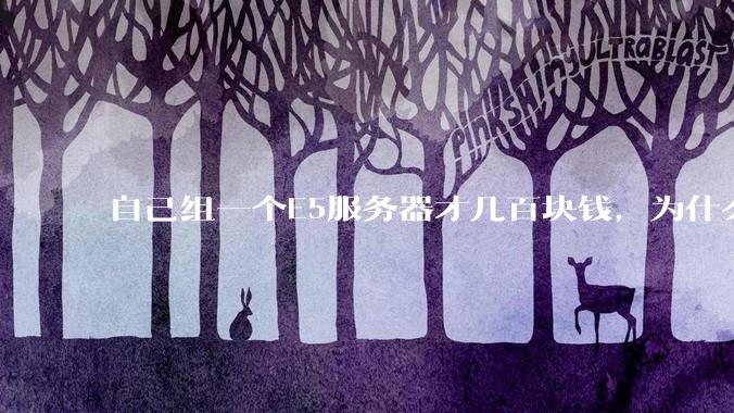 自己组一个E5服务器才几百块钱，为什么去阿里云租这么贵?