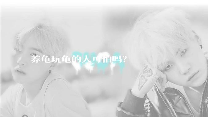 养龟玩龟的人可怕吗？